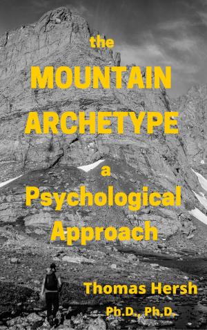 Book cover of The Mountain Archetype