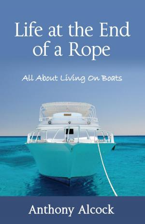 Cover of the book Life at the End of a Rope by Gillibran Brown