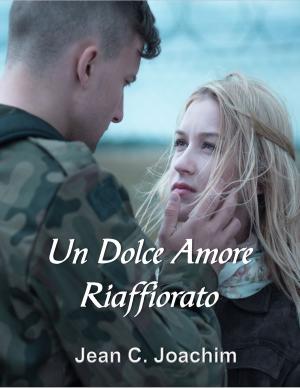 Book cover of Un Dolce Amore Riaffiorato