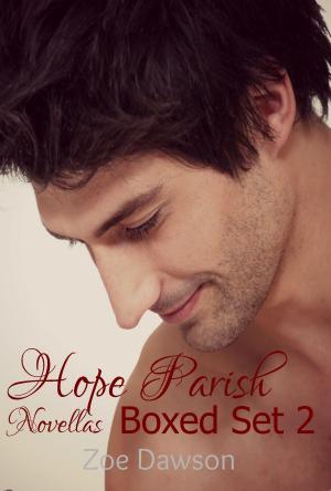 bigCover of the book Hope Parish Novellas Boxed Set 2 by 