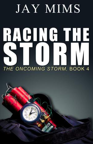 Cover of the book Racing The Storm by C.L. Wells