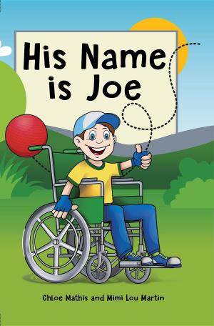Cover of the book His Name is Joe by Christina Neely