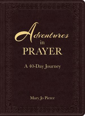 Book cover of Adventures in Prayer