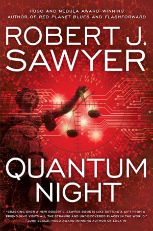Cover of the book Quantum Night by Ken Bruen