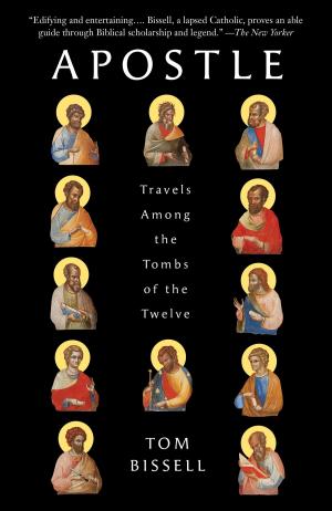 Cover of the book Apostle by Edwidge Danticat