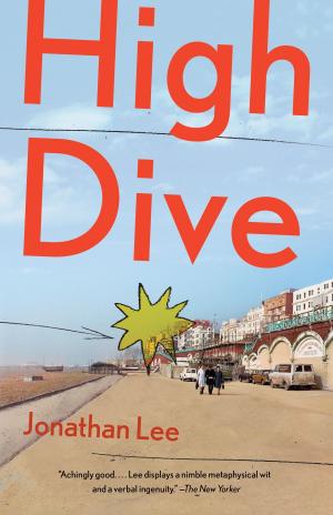 Cover of the book High Dive by Zachary Leader