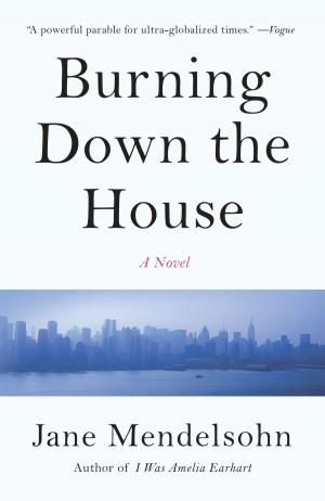Cover of the book Burning Down the House by Ha Jin