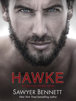 Cover of the book Hawke by Ellen Barrett, Barrie Dolnick
