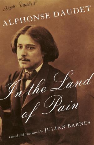 Cover of the book In the Land of Pain by Martin Kihn