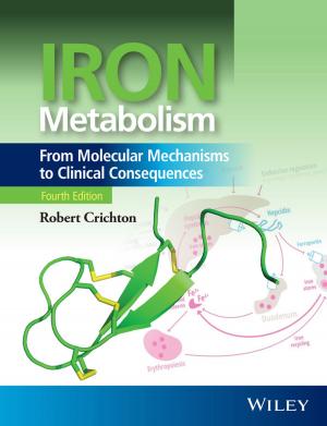 Cover of the book Iron Metabolism by Julian Knight