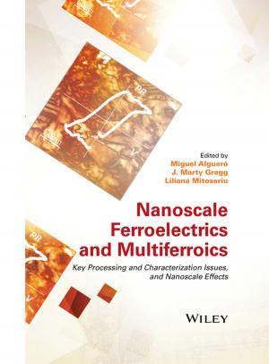 Cover of the book Nanoscale Ferroelectrics and Multiferroics by Visakh P. M., María José Martínez Morlanes
