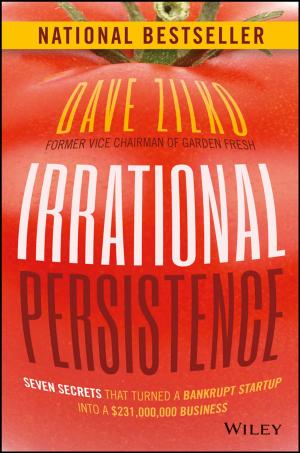 Book cover of Irrational Persistence