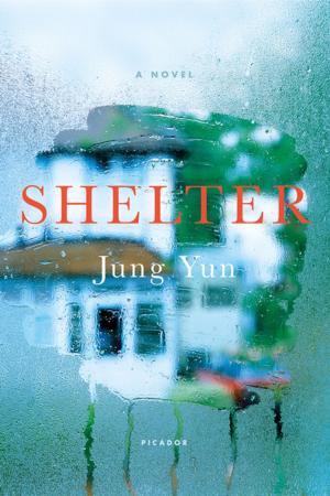 Cover of the book Shelter by Stephanie Wu, Hanya Yanagihara