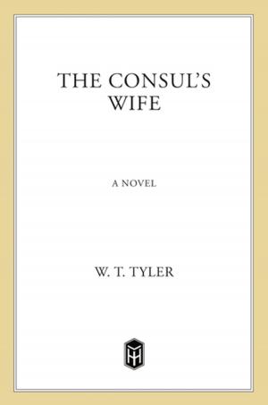 Cover of the book The Consul's Wife by Robert W. Bly