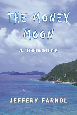 Cover of the book The Money Moon by Jane Porter
