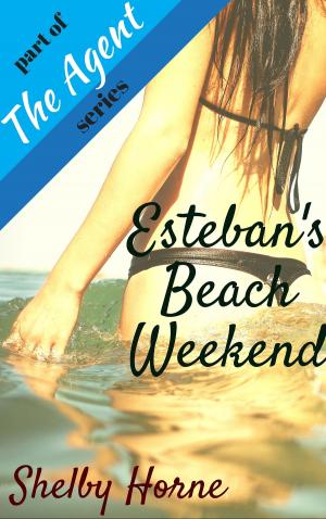 Cover of the book Esteban's Beach Weekend by Shelby Horne