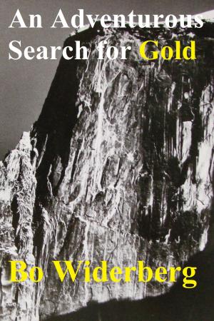 Cover of the book An Adventurous Search for Gold by Bo Widerberg