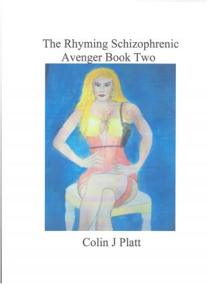 Book cover of The Rhyming Schizophrenic Avenger Book Two