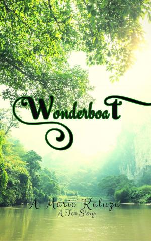 Cover of the book Wonderboat by Sam Tabalno