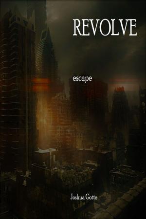 Cover of the book REvolve: Escape by David Estes