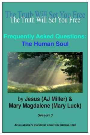 Cover of the book Frequently Asked Questions: The Human Soul Session 3 by Jesus (AJ Miller)