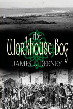 Cover of the book The Workhouse Boy by James J. Deeney