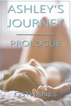 Book cover of Ashley's Journey: Prologue