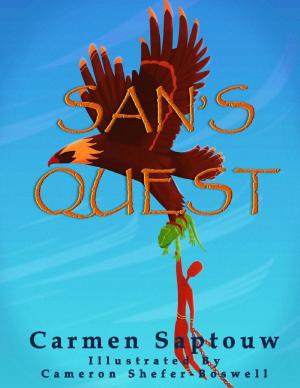 Book cover of San's Quest