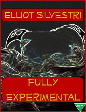 Cover of the book Fully Experimental by Elliot Silvestri