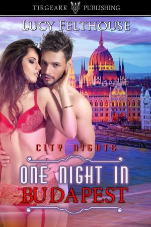 Cover of the book One Night in Budapest by Paula Martin