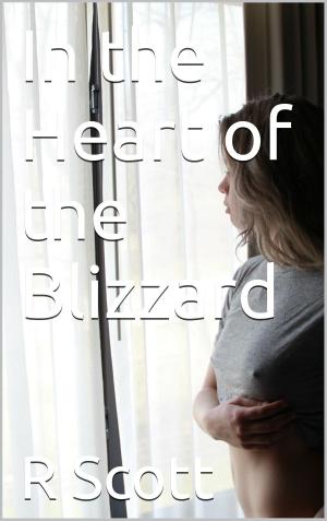 Cover of the book In the Heart of the Blizzard by Mia Castle