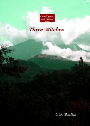 Cover of the book Three Witches by CD Moulton