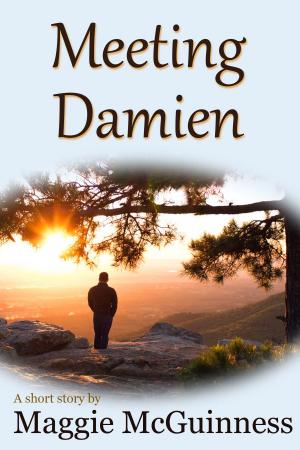 Cover of the book Meeting Damien by David Brin