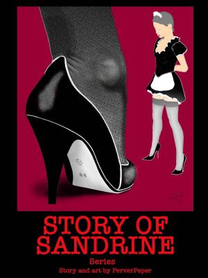 Cover of the book Story of Sandrine Bundle by Teagan Winters