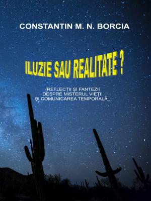 Cover of the book Iluzie sau realitate? (Reflecții și fantezii despre misterul vieții și comunicarea temporală) by Jan McInnis