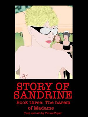 Book cover of Story of Sandrine Book 3