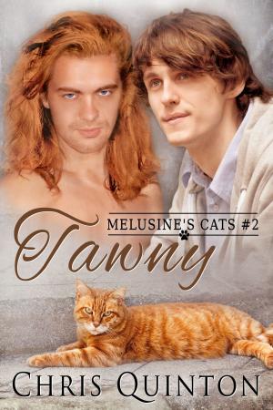 Cover of Tawny: #2 Melusine's Cats