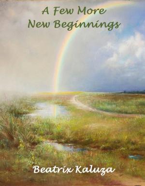 bigCover of the book A Few More New Beginnings by 