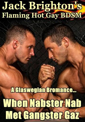 Book cover of When Nabster Nab Met Gangster Gaz