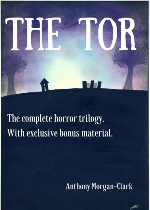 Book cover of The Tor