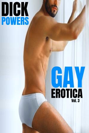 Book cover of Gay Erotica Vol. 3