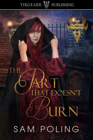 Cover of the book The Part That Doesn't Burn by JM Robison