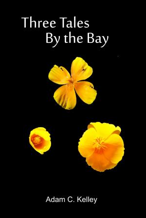 bigCover of the book Three Tales By the Bay by 