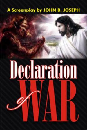 Cover of the book Declaration of War by John B. Joseph