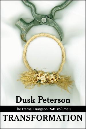 Cover of the book Transformation (The Eternal Dungeon, Volume 2) by Dusk Peterson