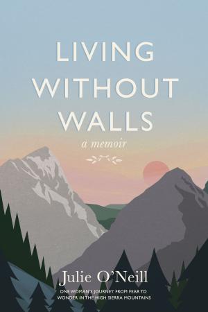 bigCover of the book Living Without Walls by 