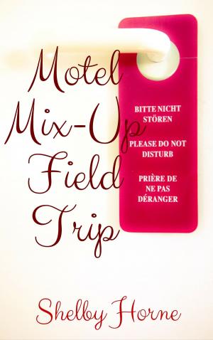 Cover of Motel Mix-Up Field Trip