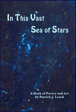 Cover of the book In This Vast Sea of Stars by Patrick J. Leach