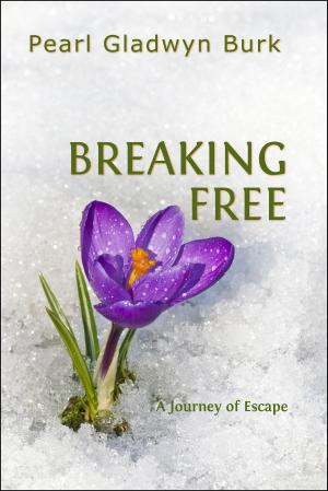 Cover of the book Breaking Free by Abhishek Patel