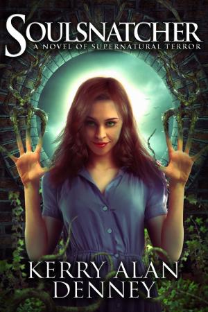 Cover of the book Soulsnatcher by Crystal Bourque